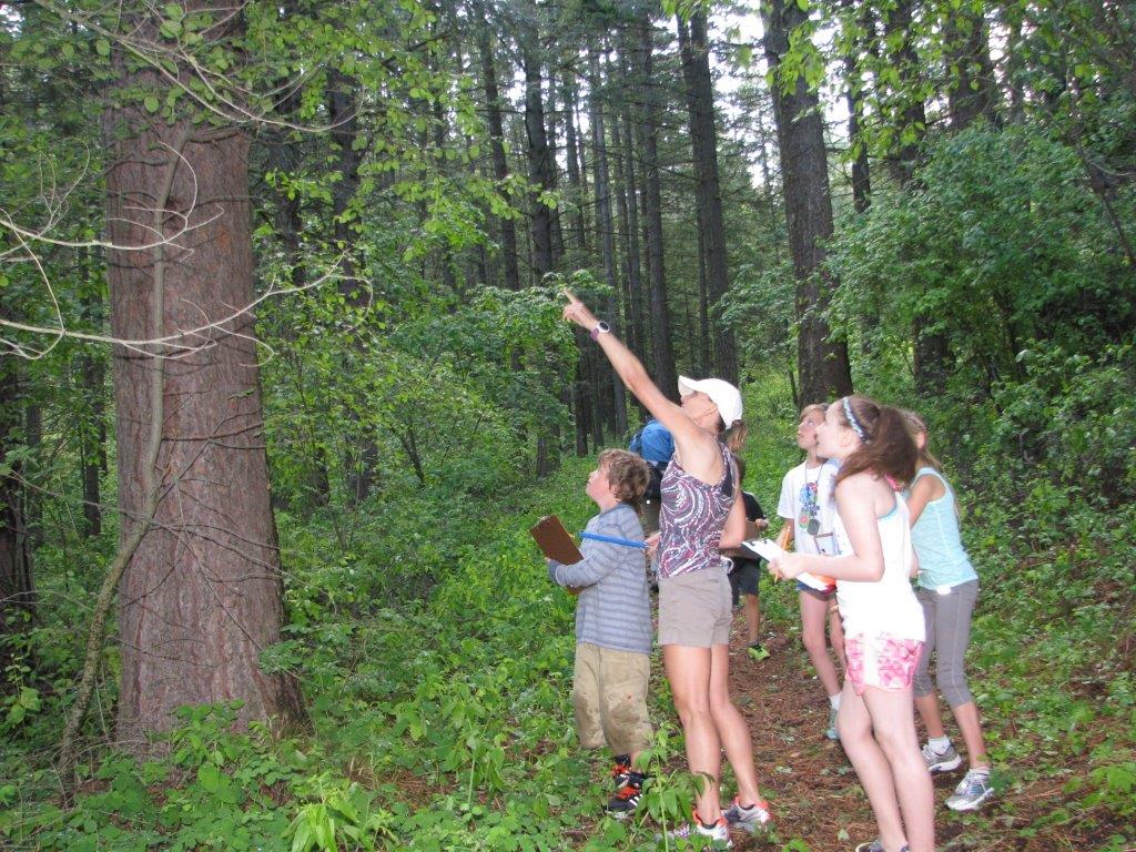 Kids Learn in Forest Classroom | Wenatchee Valley Museum & Cultural Center