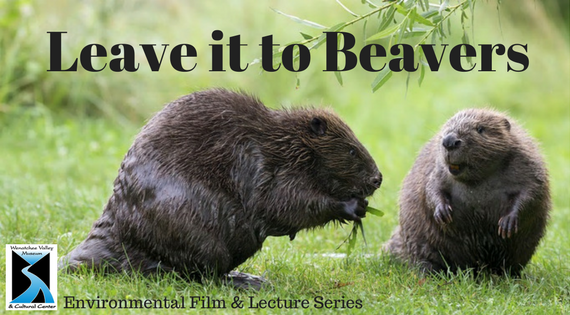 Leave it to Beavers | Wenatchee Valley Museum & Cultural Center